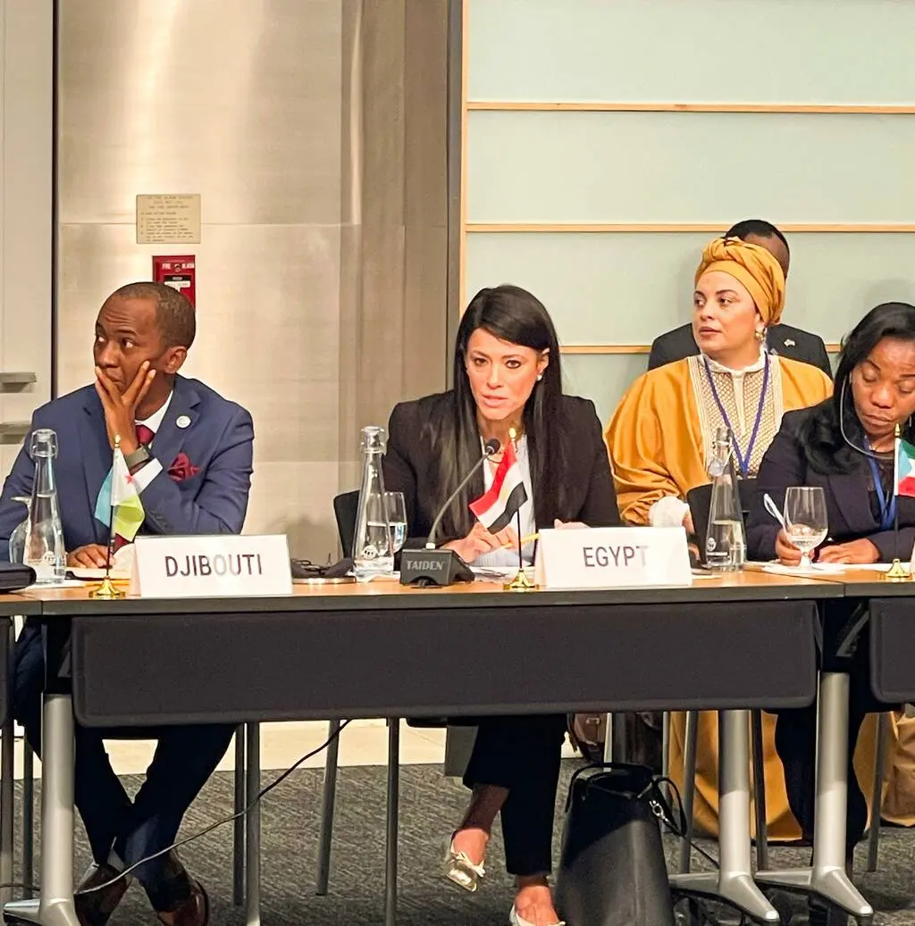 وزيرة التعاون الدولي: إفريقيا الأكثر عرضة لاضطرابات سلاسل إمداد الأدوية واللقاحات