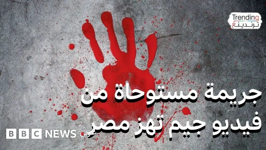 جريمة مستوحاة من ألعاب الفيديو تهز مصر