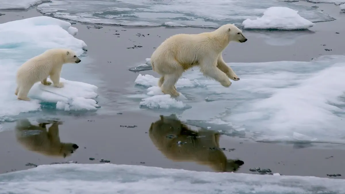 تعلّم القيادة الأفقية حتى تنجح في منصبك القيادي