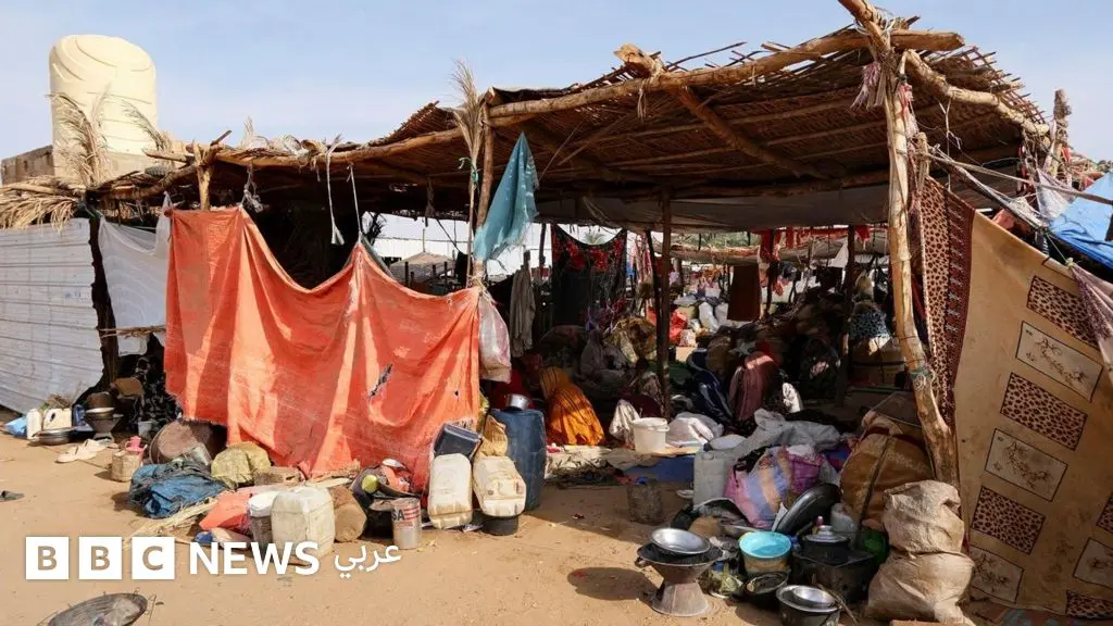 الفاشر: "الوقت ينفد والجوع سيقتلنا قبل قذائف المدافع"