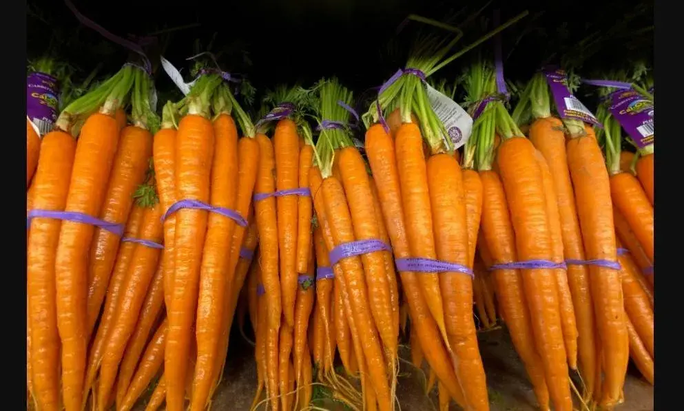 ماذا يحدث لضغط دمك عند تناول الجزر بانتظام؟