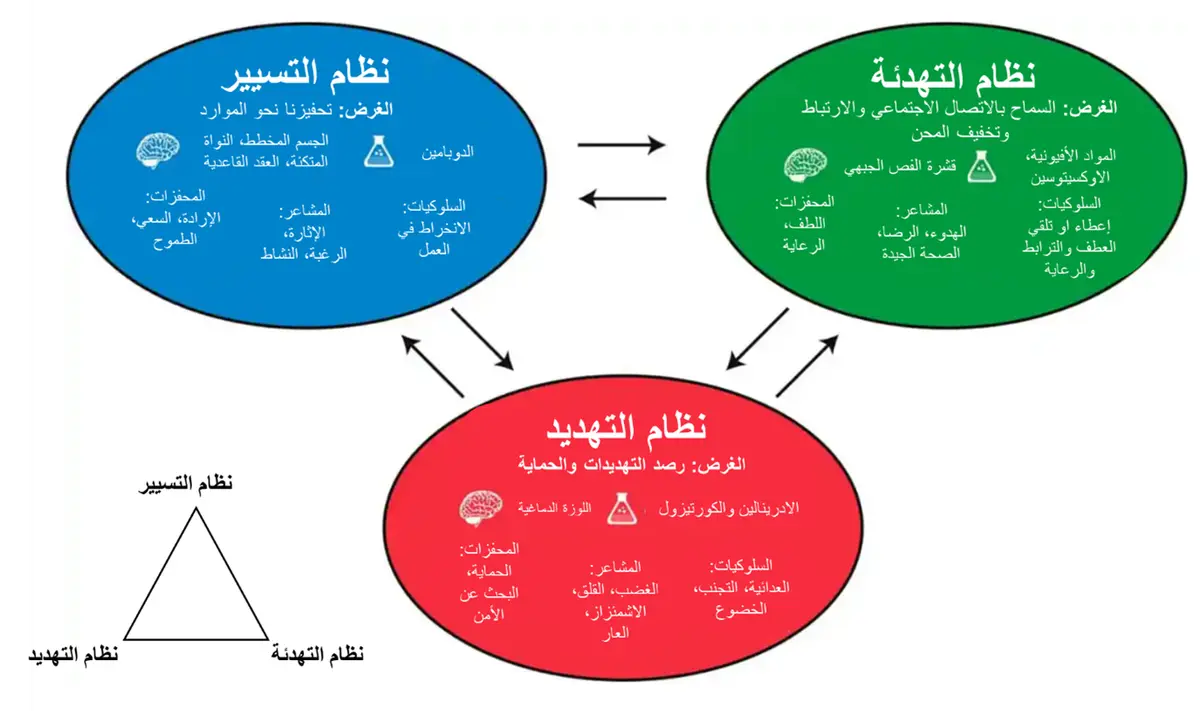 العلاج النفسي القائم على التعاطف لبول جلبرت - العلوم الحقيقية