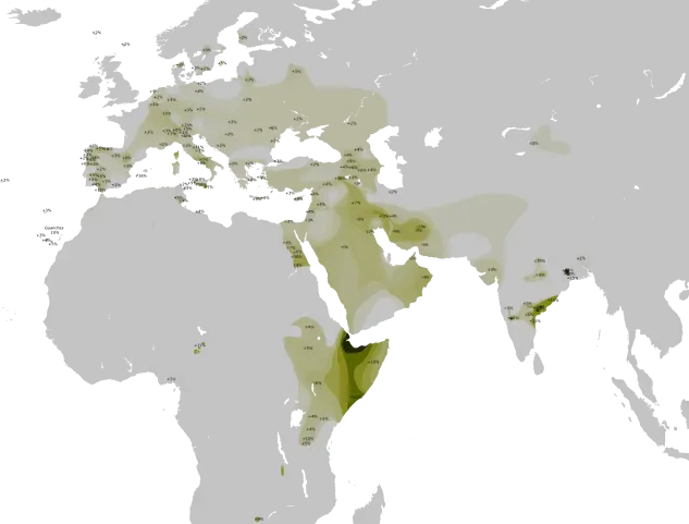 المجموعة الفردانية T الجسر الآسيوي الأفريقي - العلوم الحقيقية