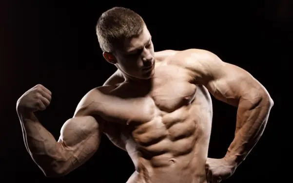 أثر فترة التكرار على البناء العضلي - العلوم الحقيقية