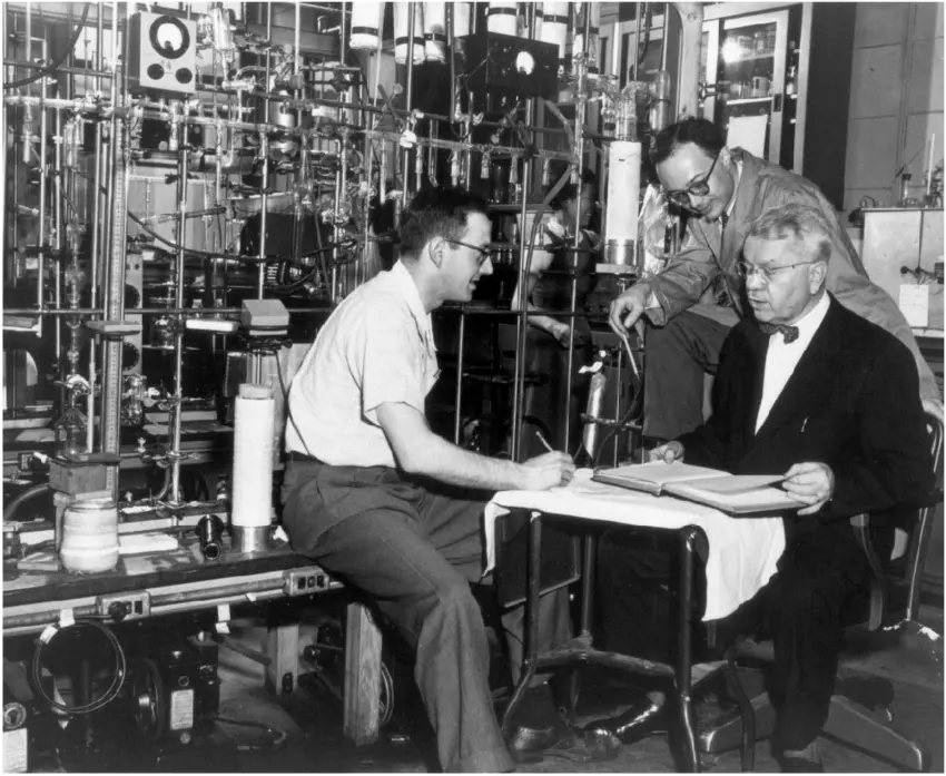 ما هي مراحل النظائر البحرية؟ - العلوم الحقيقية