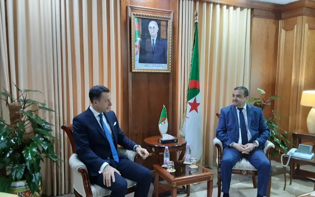 كنوز المعادن في الجزائر تحت أنظار أوروبا لأول مرة.. ماذا قال المسؤول؟ - الطاقة