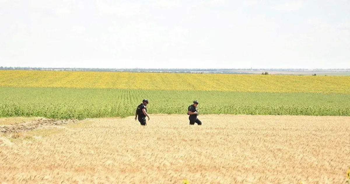 أوكرانيا.. هل مازالت تطعم العالم؟