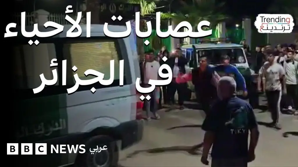 عصابات الأحياء في الجزائر .. القبض على مشتبه به في ولاية عين الدفلى اعتدى على شاب جسديا ولفظيا