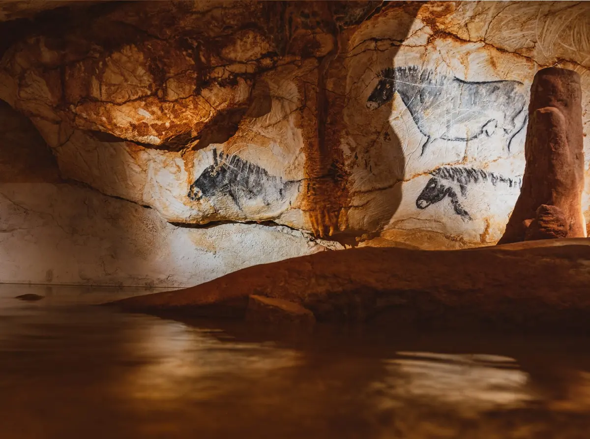 “الإنسان الأول والبحر”.. آثار مجتمعات ساحلية أكلت الأسماك وتحلت بالأصداف