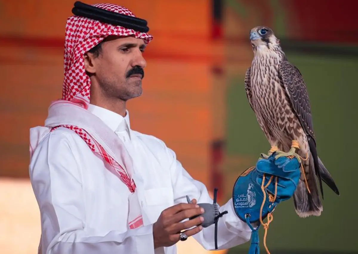 بيع 3 صقور بـ 399 ألف ريال في مزاد نادي الصقور السعودي 2025