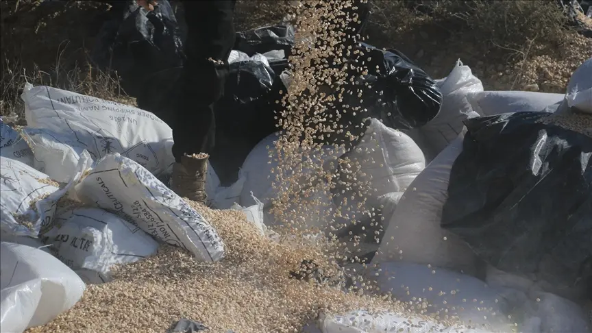 تحديات ما بعد الأسد: شبكات الكبتاغون بين التفكيك وإعادة التموضع