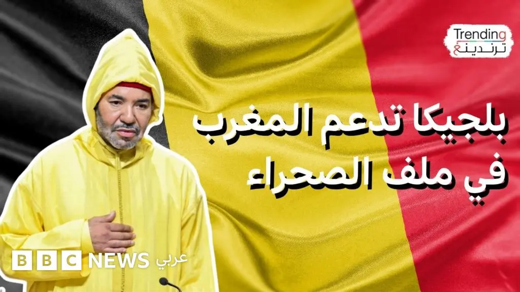 الصحراء الغربية.. بلجيكا تدعم مقترح المغرب للحكم الذاتي