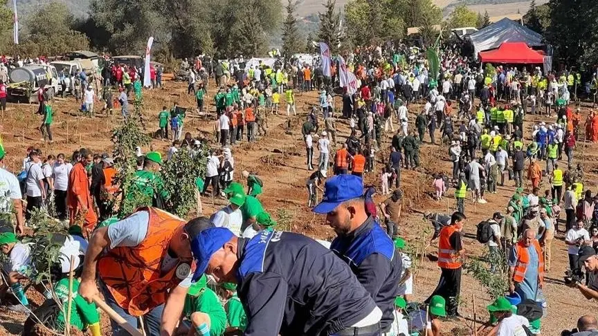 مليون غرسة بيوم.. انطلاق أكبر حملة تشجير في الجزائر