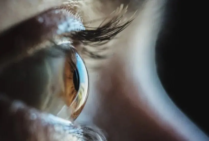 هاشتاق عربي - أطعمة تحمي العين من التلف الناتج عن استخدام الشاشات