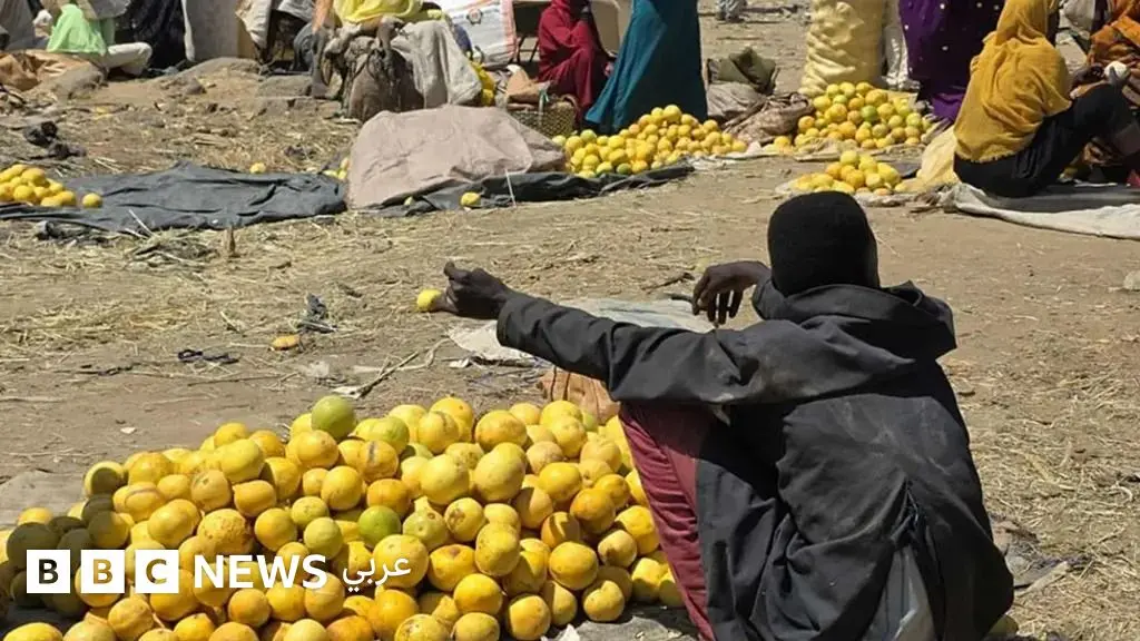 منطقة خصبة في السودان يتعفن فيها الطعام رغم انتشار المجاعة والحرب، فما القصة؟