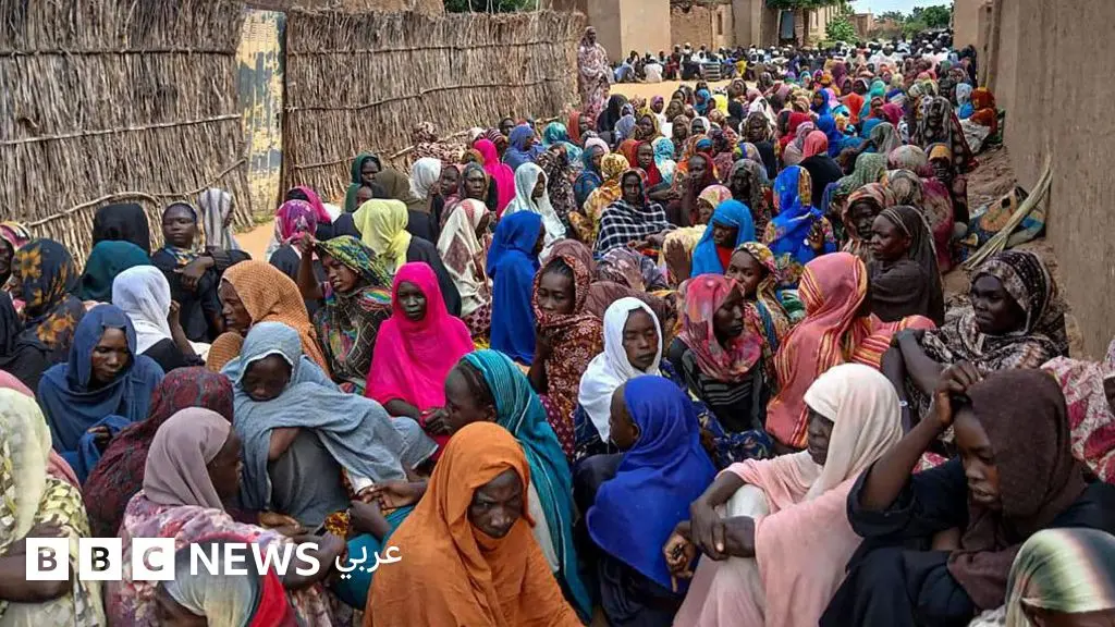 السودان: ماهي تداعيات سيطرة الدعم السريع على الفاشر؟
