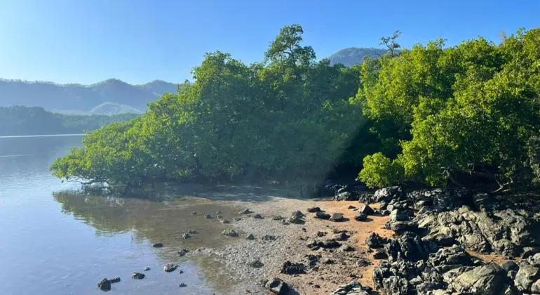 غوتيريش: التكيف مع تغير المناخ ينقذ الأرواح، وعدم تمويله هو خلل في التضامن العالمي