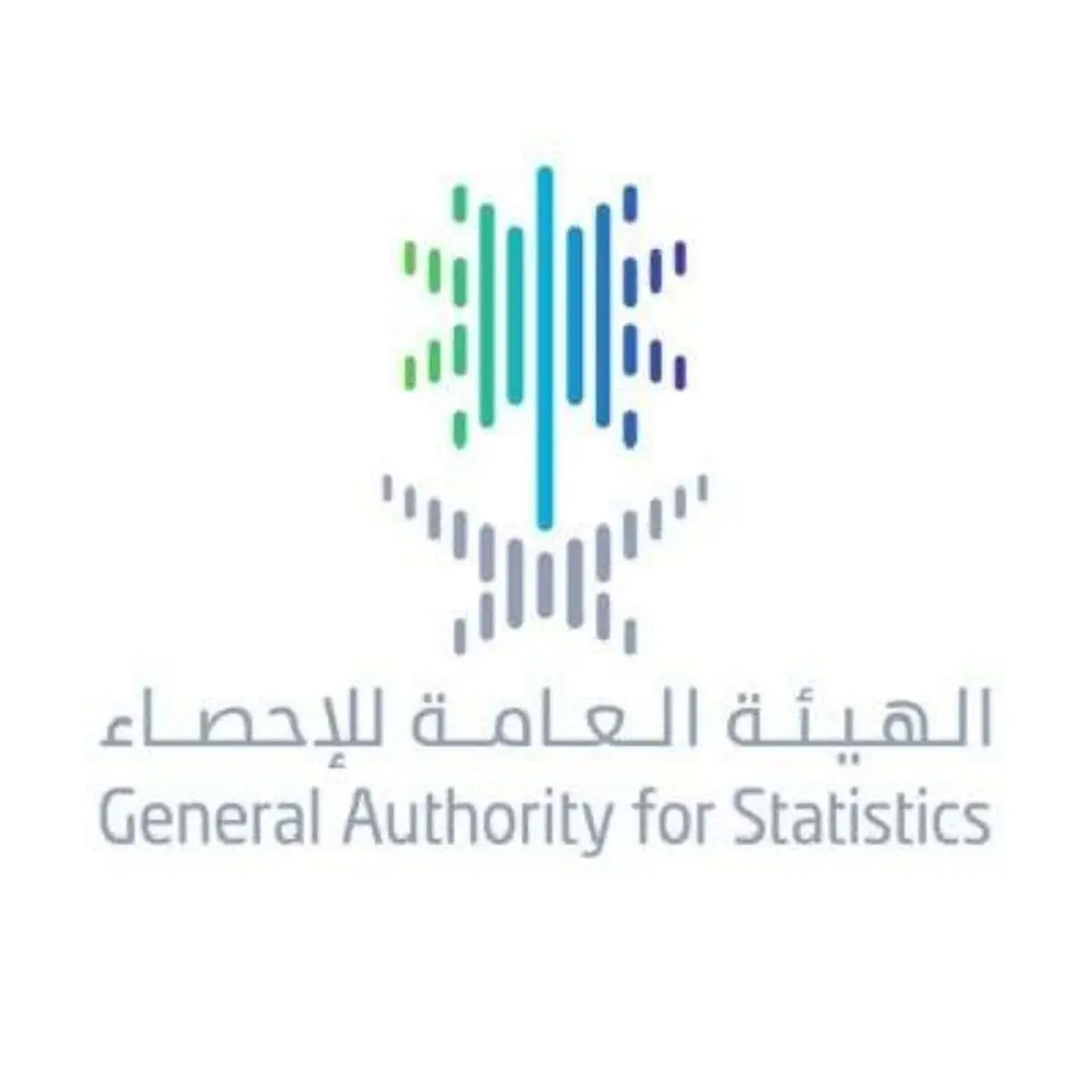 إحصاءات الأعمال 2024.. نمو استثماري ملحوظ في القطاعات الاقتصادية الرئيسية