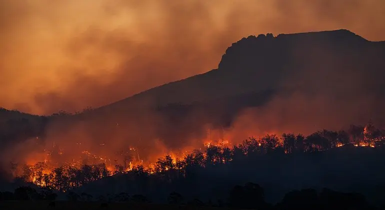 التقاعس عن العمل المناخي يودي بحياة ملايين الأشخاص سنويا