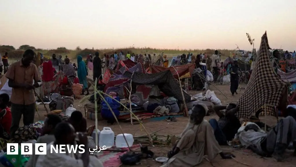 الفاشر: "لم أظن يوماً أنني سأرى جثة تأكلها الصقور، والكلاب تنهشها أمامي" - نازح من المدينة