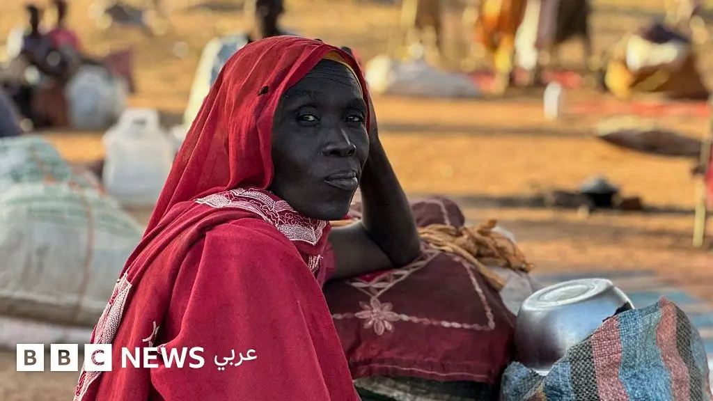 مدينة الفاشر: "الدعم السريع أطلقوا النار على أولادي"، بي بي سي تستمع إلى شهادات مروّعة من الفارين