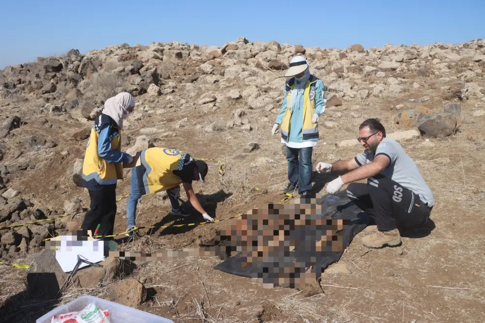 العثور على رفات بشرية قرب مدينة نوى بريف درعا