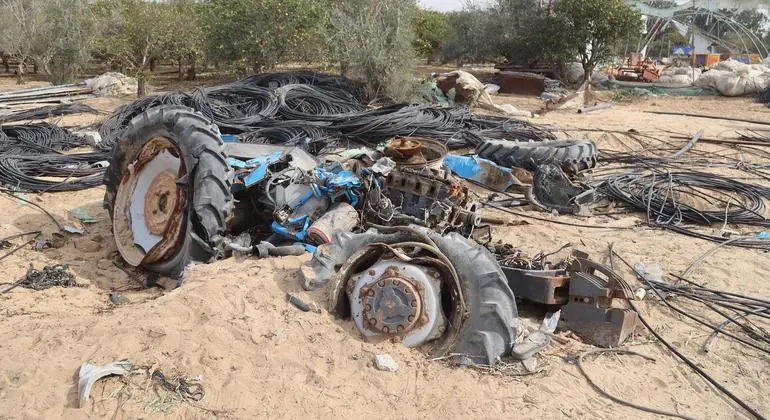 غزة - تضرر نحو 87% من الأراضي الزراعية، ووقف إطلاق النار "فرصة" لإعادة التأهيل