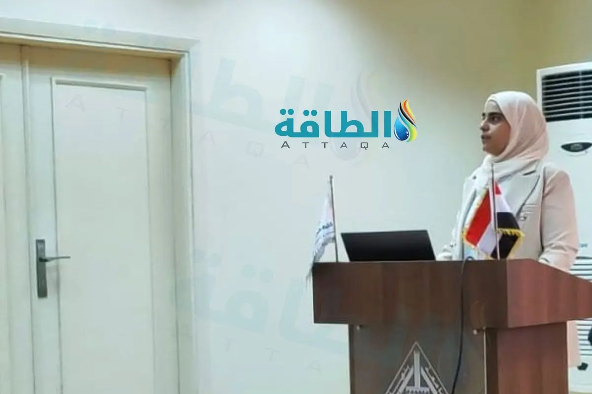 شبكات الكهرباء في مواجهة ضغط السيارات الكهربائية.. دراسة مصرية تقدم الحل - الطاقة