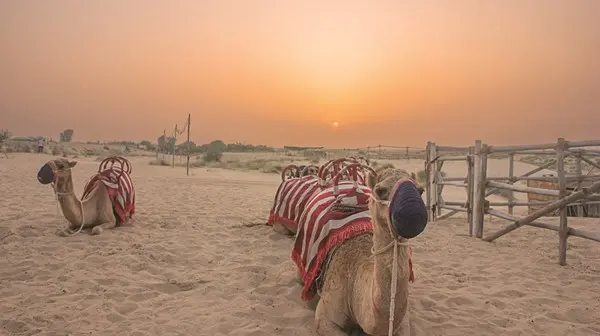 شتاء الإمارات يجمع العائلة ويحيي التراث