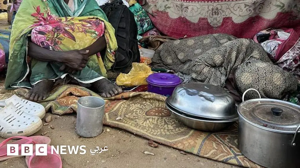 الفاشر: مصادر لبي بي سي تنفي التوصل إلى هدنة إنسانية في السودان، مصادر لبي بي سي تنفي التوصل إلى هدنة إنسانية في السودان، وشاهدة عيان تقول: "لم يتركوا لنا شيئاً ولا حتى ملابسنا"