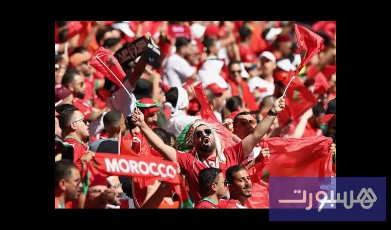 رحلات استثنائية للجماهير لتشجيع الأسود