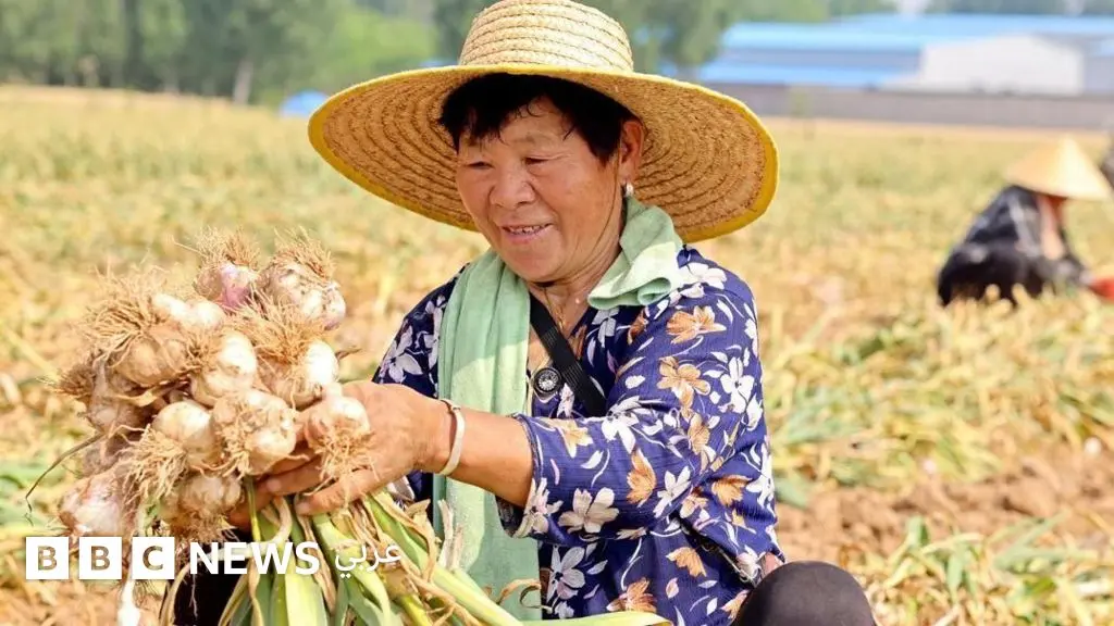 الثوم عبر العصور: من غذاء العبيد وعلاج القدماء إلى المطبخ الحديث