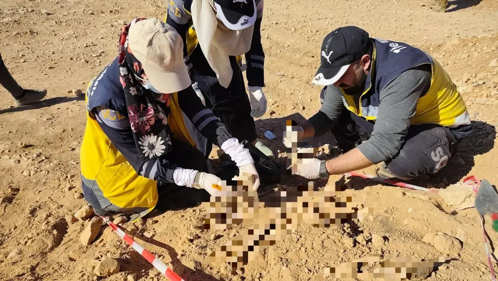 العثور على رفات بشرية في قرية أثرية بريف حماة الشرقي