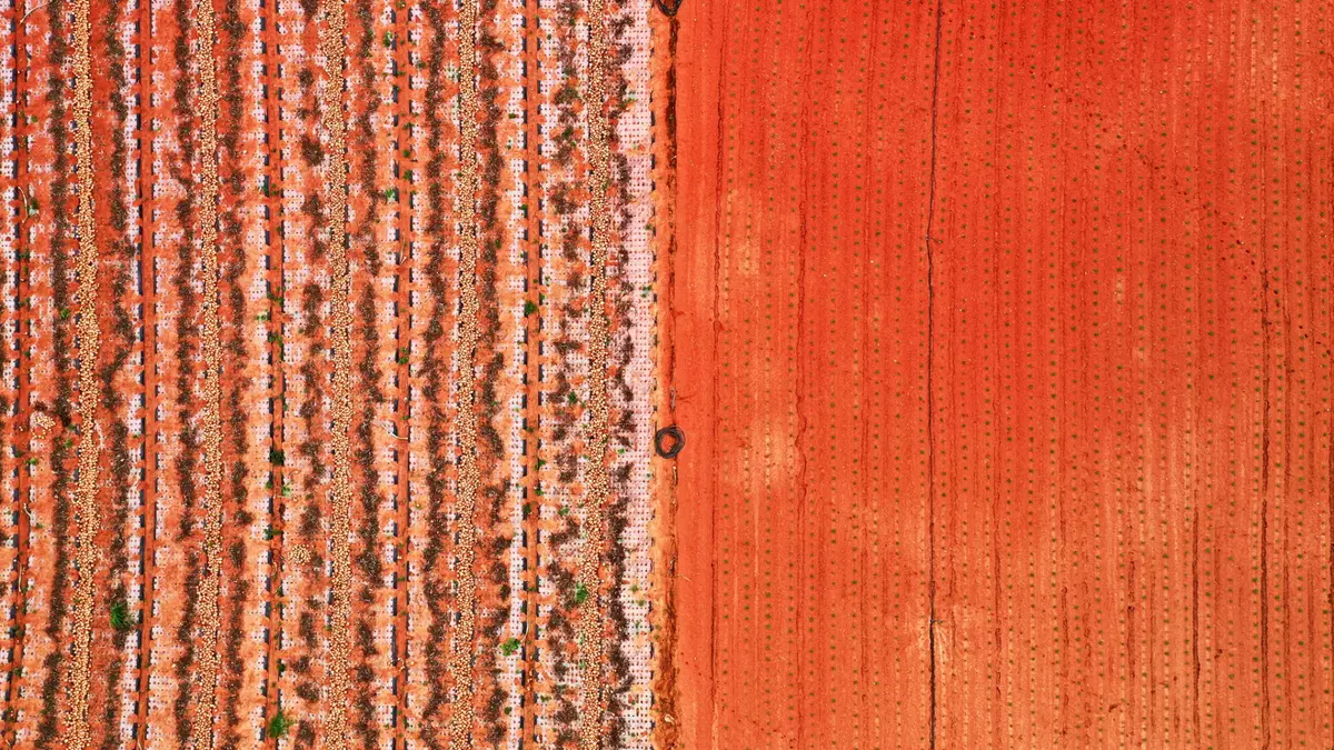 صور جوية تُظهر الجمال الخفي للزراعة في كوريا الجنوبية