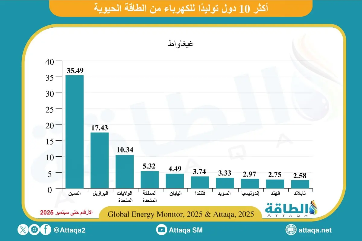 أكثر 10 دول توليدًا للكهرباء من الطاقة الحيوية (إنفوغرافيك) - الطاقة