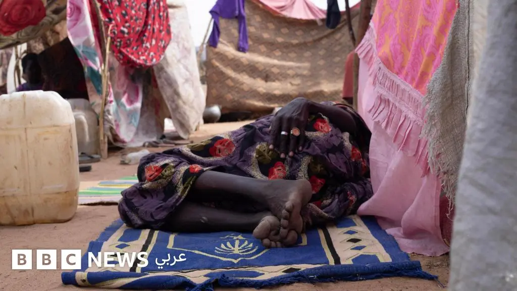 الحرب في السودان: واشنطن تؤكد التزامها بحل سلمي وتقرّ بـ"تعقيد الوضع"، وشهادات من بارا والفاشر لبي بي سي تكشف معاناة النازحين