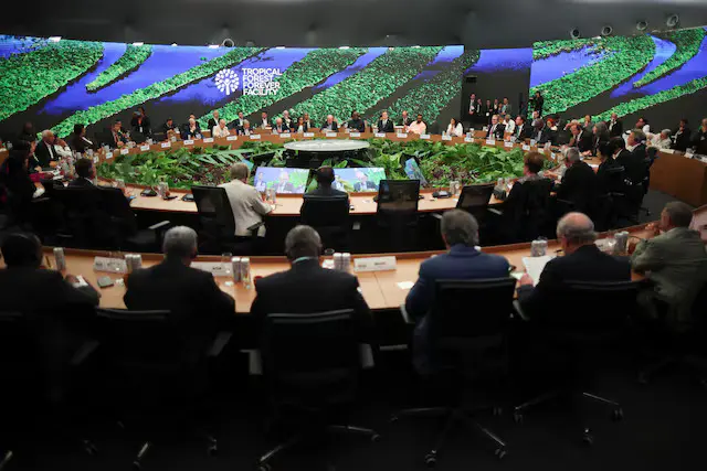 النرويج تستثمر 3 مليارات دولار في صندوق عالمي لحماية الغابات