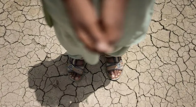 ارتفاع درجات الحرارة يعني مزيدا من الخسارة، ويجب أن يكون المؤتمر الـ30 للمناخ نقطة تحول