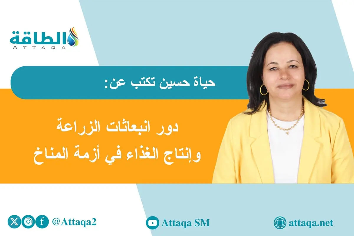 علاج تغير المناخ بنكهة نشارة الخشب (مقال) - الطاقة