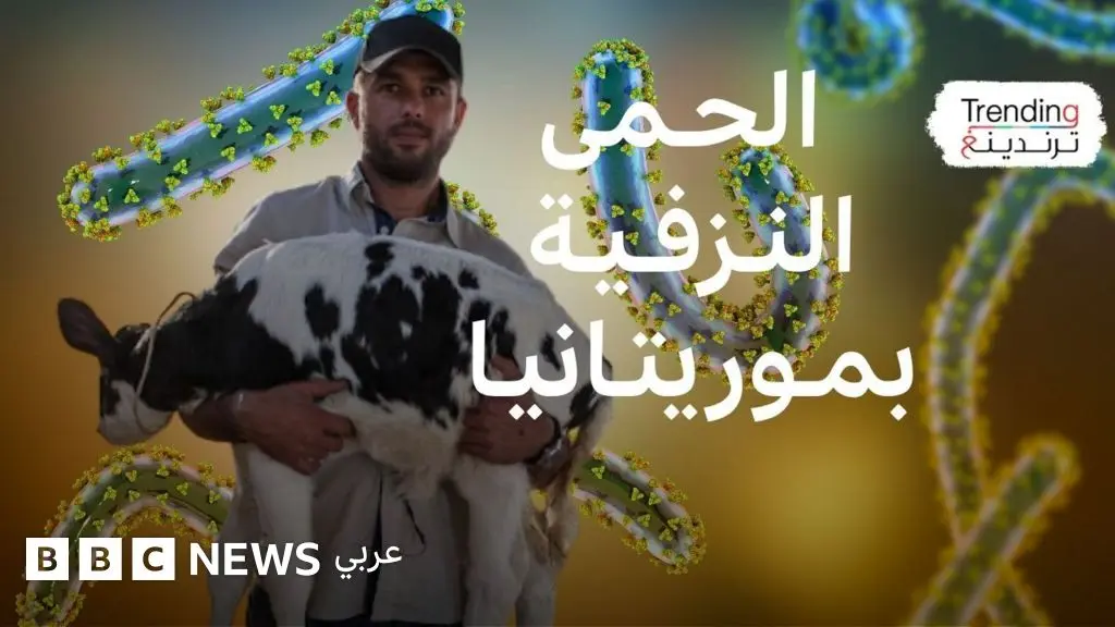 مئات الإصابات والوفيات بالحمى النزفية في موريتانيا والسنغال، فكيف تحمي نفسك من الإصابة؟