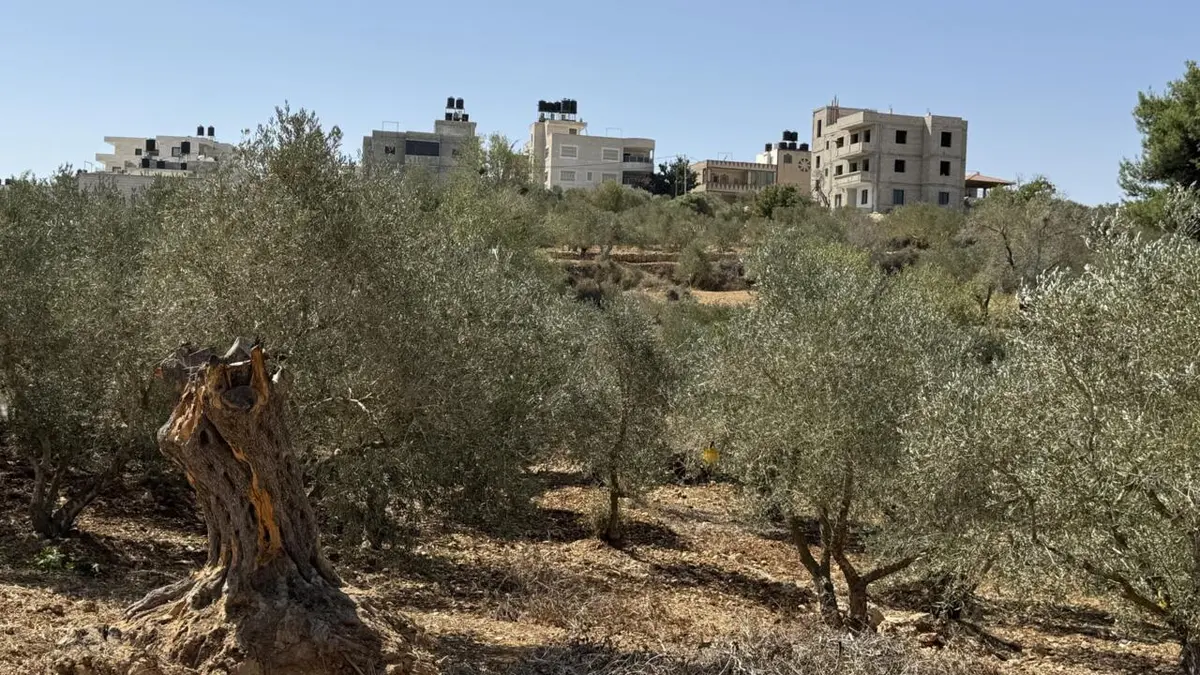 إصابة صحافية في رويترز وعدد من الفلسطينيين بهجوم شنه مستوطنون إسرائيليون في الضفة الغربية