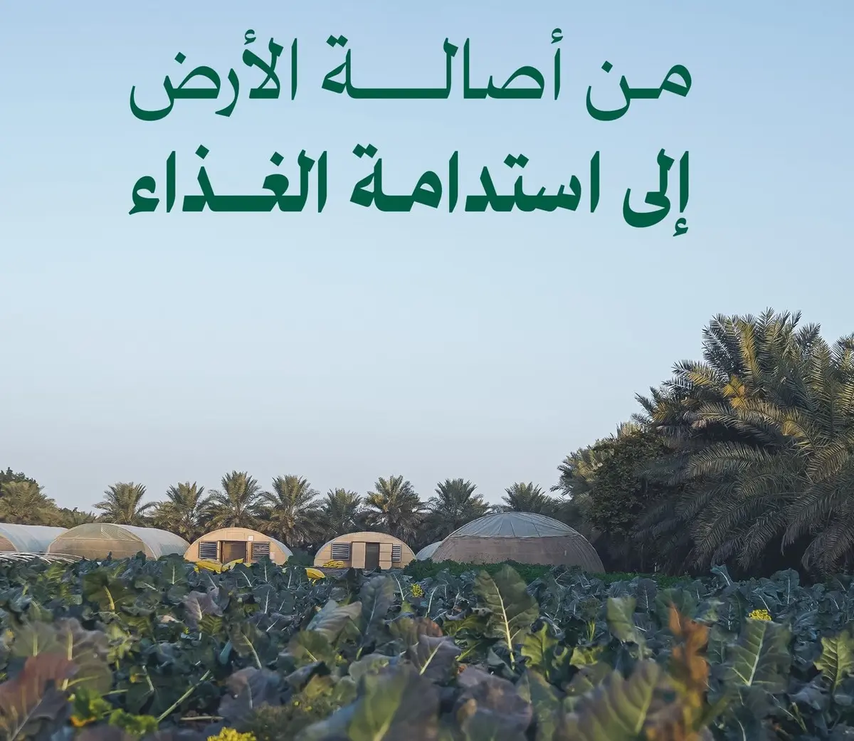 البيئة تحتفي بيوم الغذاء العضوي لتعزيز الاستدامة في منطقة الباحة