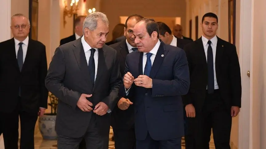 السيسي وشويغو يبحثان التطورات بغزة وتسوية أزمة روسيا وأوكرانيا
