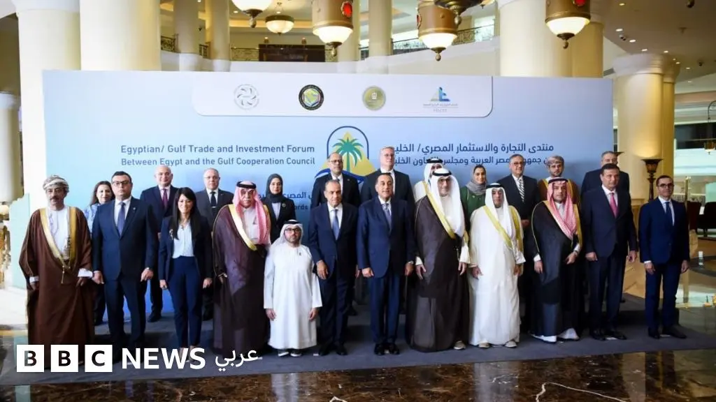 الاستثمارات الخليجية في مصر: طوق نجاة أم خطأ استراتيجي؟