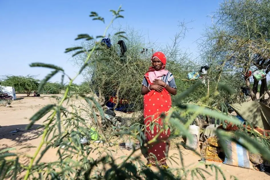 الجيش يصد 3 هجمات على بابنوسة وتحذيرات من تكرار سيناريو الفاشر