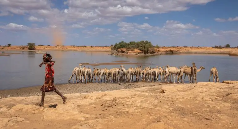 من هايتي إلى إثيوبيا: شهادات المهجرين بسبب المناخ في قمة بيليم