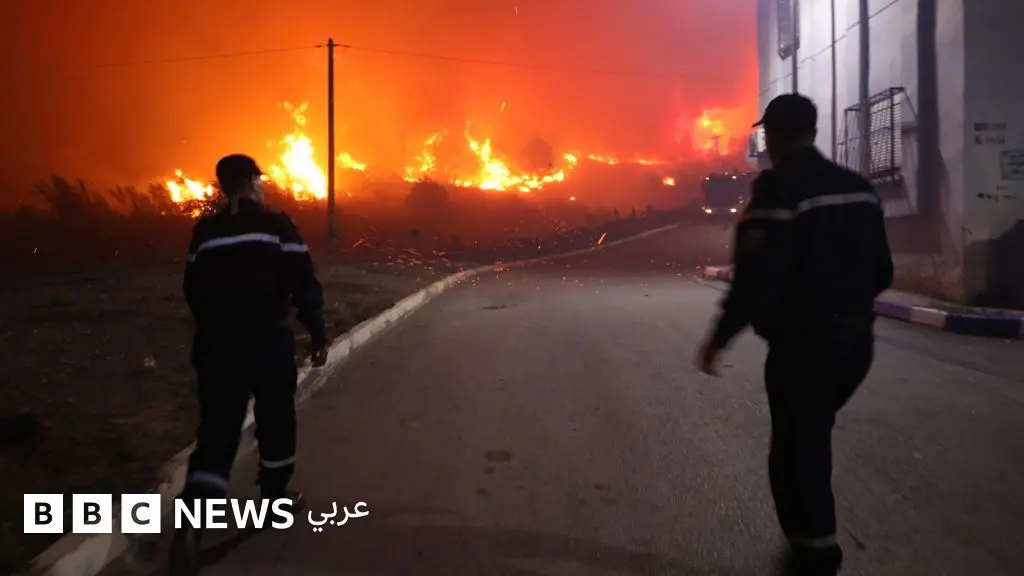 حرائق الجزائر: الجزائر تكافح حرائق متزامنة طالت غابات في البلاد، وسط مطالب بفتح تحقيق