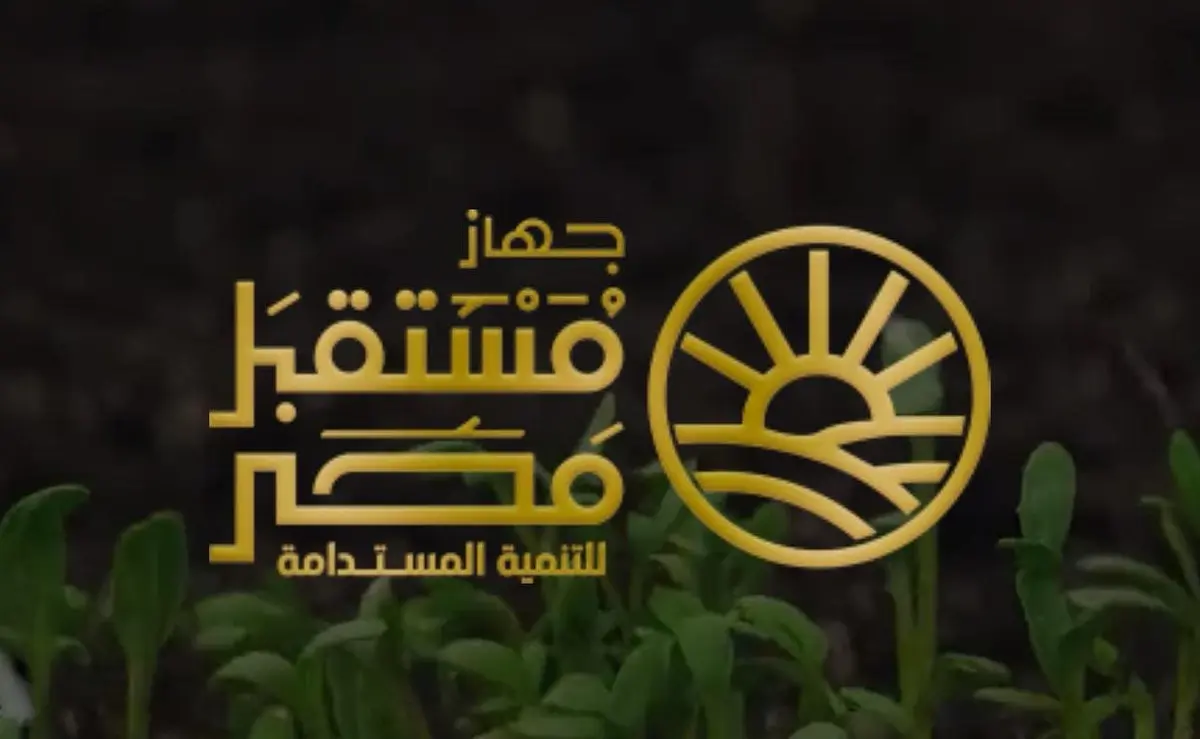 جهاز مستقبل مصر يعزز الإنتاج المحلي وينظم الاستيراد لتحقيق الأمن الغذائي
