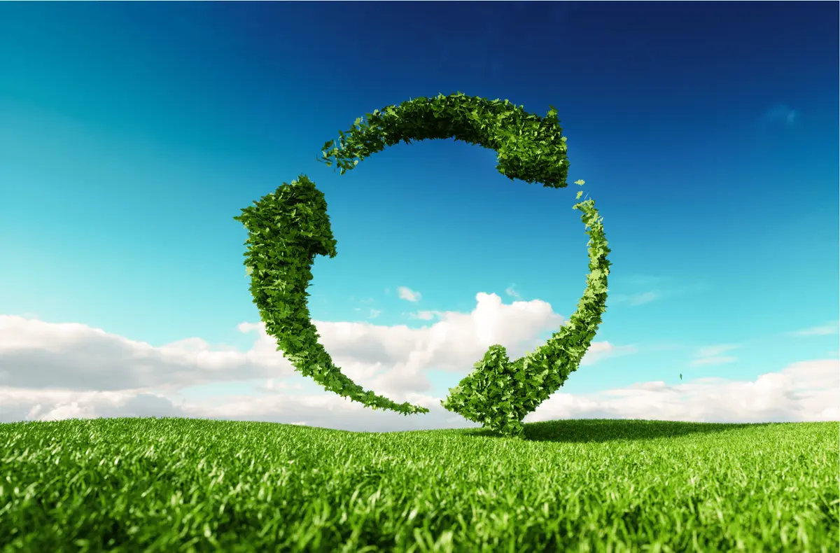 «الاستدامة».. النتاج الطبيعي للدمج بين المصداقية والإبداع