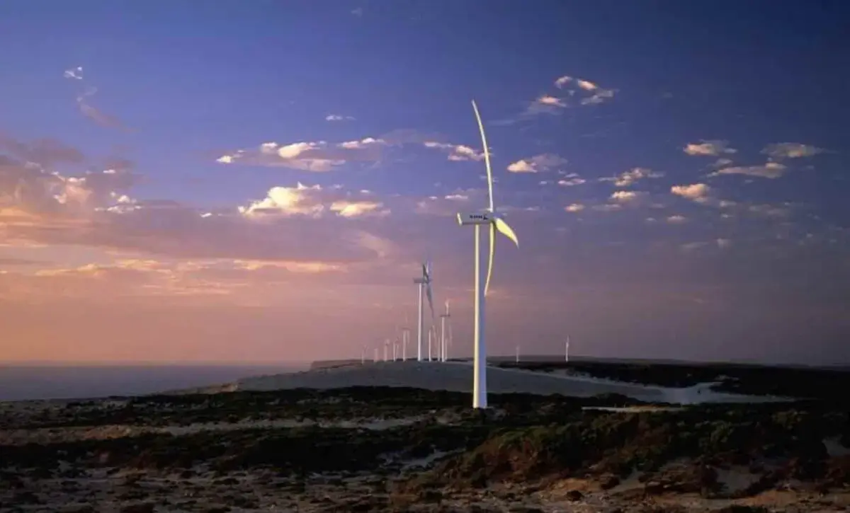 طاقة الرياح في أستراليا تحقق قفزة.. هل تقود لاستضافة كوب 31؟ - الطاقة